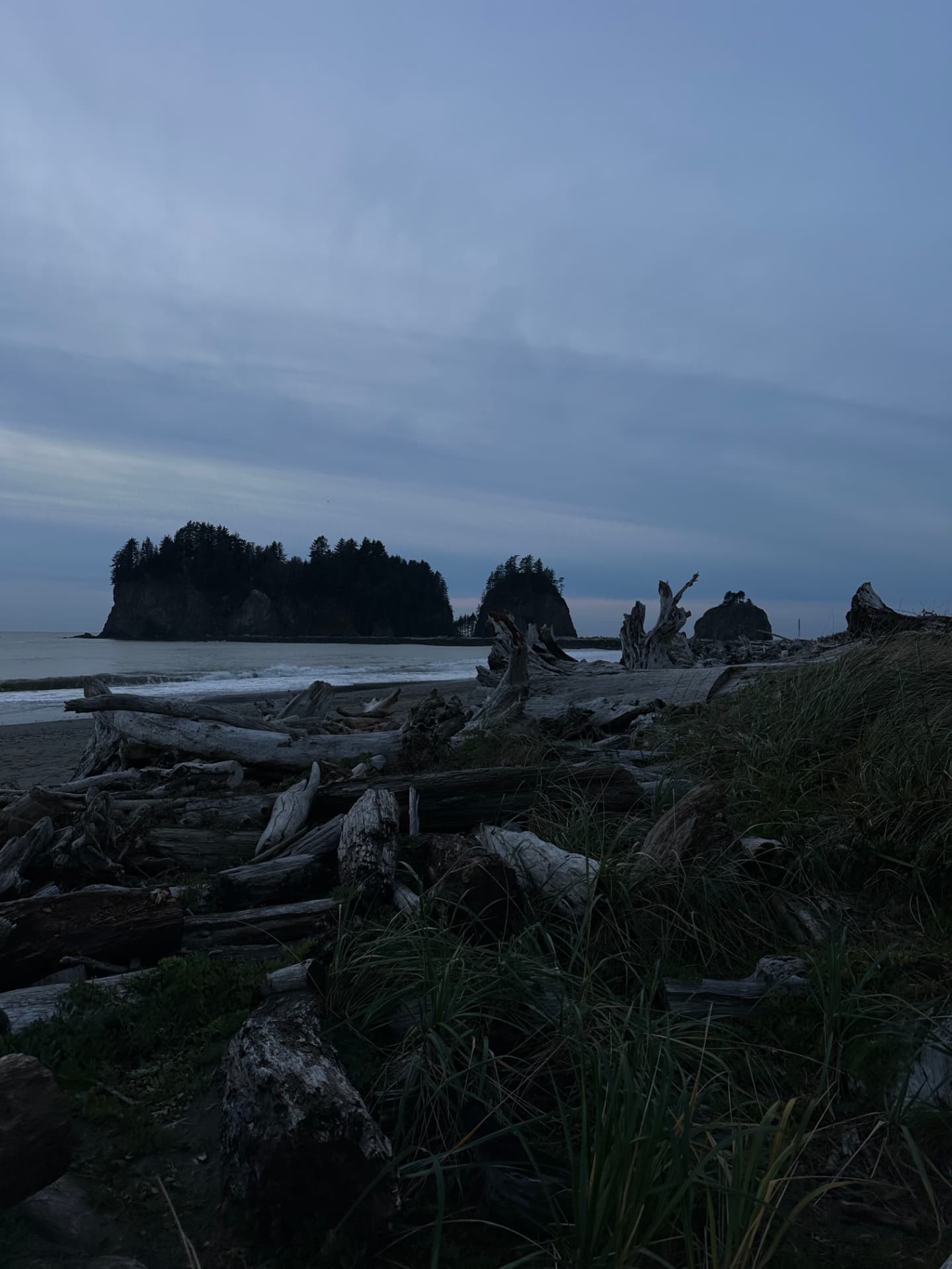 Driftwood on a beach with ocean waves and forest-covered sea stacks under a cloudy sky